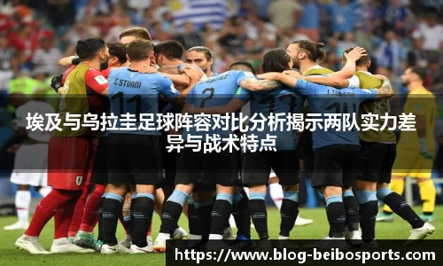 BB贝博体育